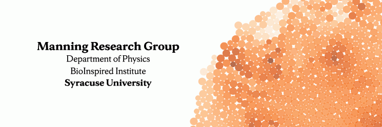 Manning Research Group banner