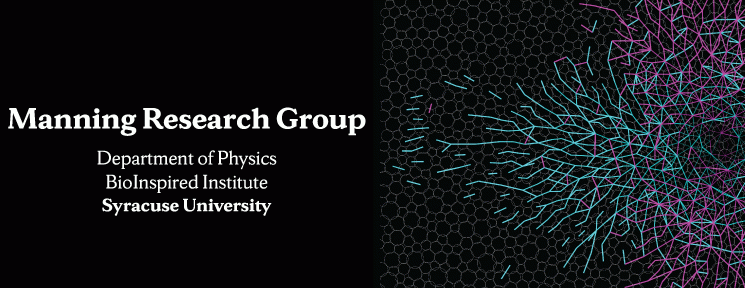 Manning Research Group banner: cell network and boundary dynamics