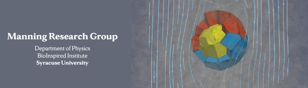 Manning Research Group banner: 3D tissue simulation with flow lines