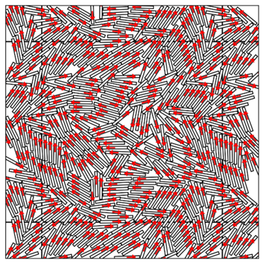 Simulation of active rod-shaped particles packed together, with red indicating polarity or force direction