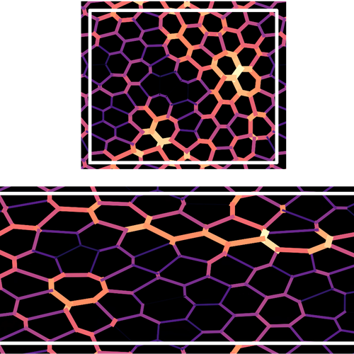 Vertex model tissue network with edge tensions colored by strength, showing localized high-tension pathways