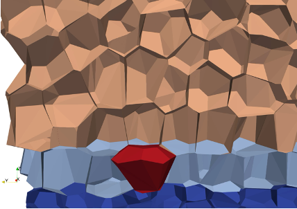 3D vertex model showing a placode (red, invaginating cell) forming within a stratified epithelial tissue