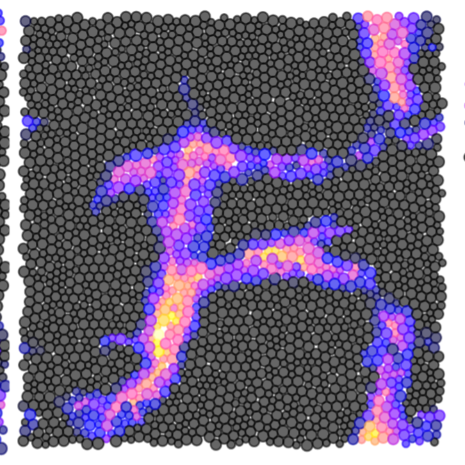 Simulation of a sheared amorphous packing showing a localized shear band of non-affine displacement